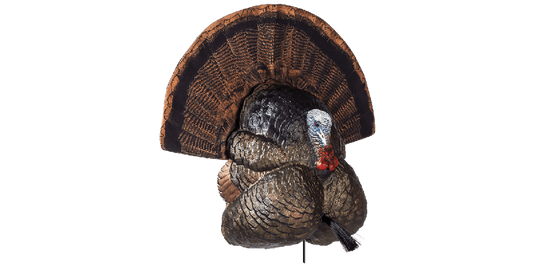Model of a turkey with a large fan of feathers on a white background