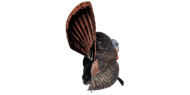 Load image into Gallery viewer, Model of a turkey with a large fan of feathers on a white background
