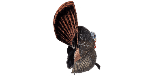 Model of a turkey with a large fan of feathers on a white background