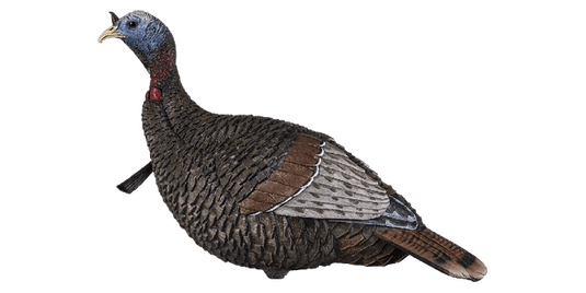 Turkey decoy on a transparent background