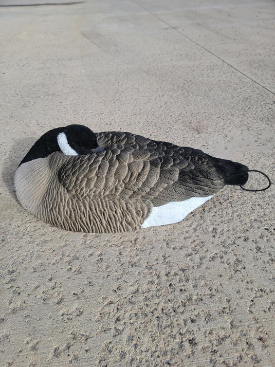 SX Canada Goose Sleeper Shells 6pk