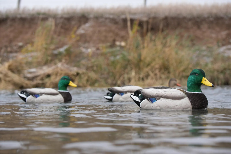 Load image into Gallery viewer, SX Decoys Mallard Floater - Fully Flocked

