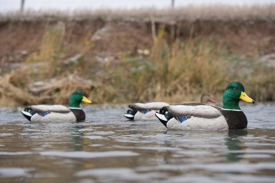 SX Decoys Mallard Floater - Fully Flocked