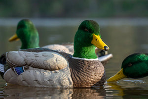 SX Decoys