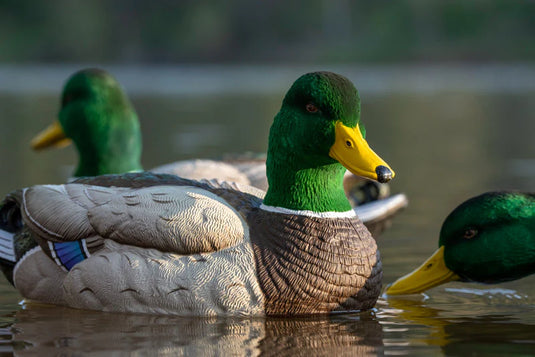 SX Mallard Floater UV Flocked Head Decoys