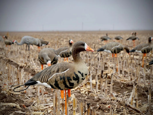 SX Full Body Specklebelly Decoy Painted