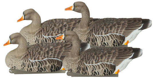Four geese with orange beaks on a white background
