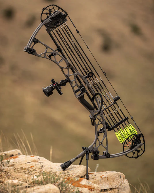 Hoyt GO-Stix 2.0