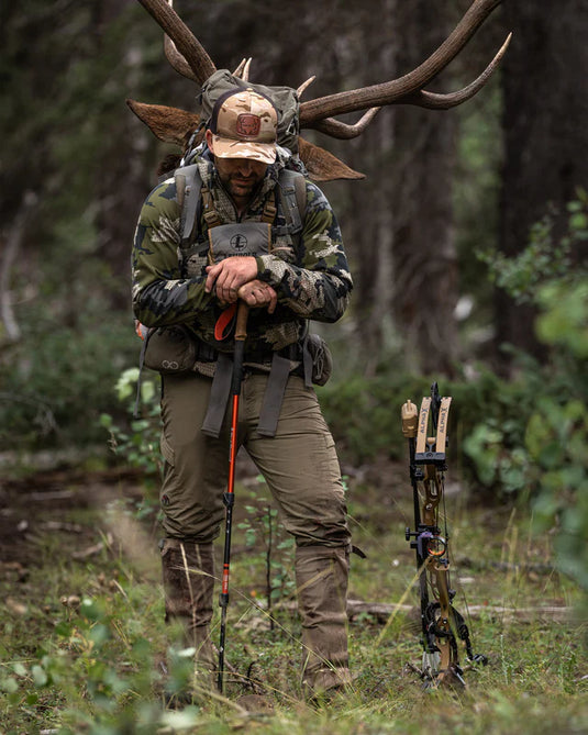Hoyt GO-Stix 2.0
