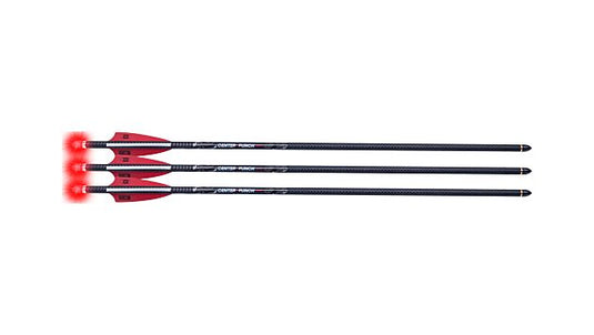 TENPOINT CENTERPUNCH HPX 20" ARROW ALPHA-BLAZE HPX 3PK