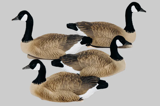 SX Life Size Floater Canada Goose Decoys
