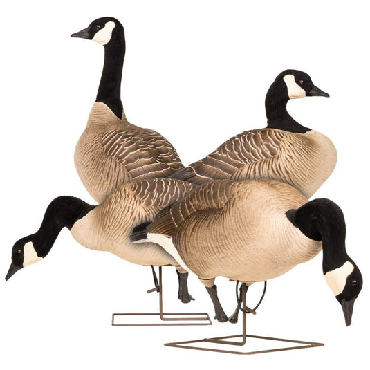 DSD Maxima Honkers - Full Body Combo 4-Pack