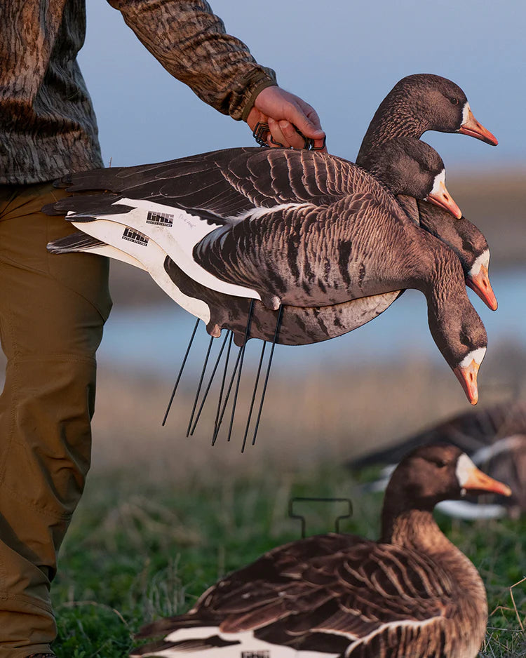 Load image into Gallery viewer, GHG Pro-Grade Silhouette Specklebelly Goose Decoys
