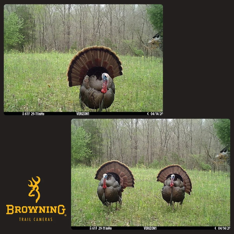 Load image into Gallery viewer, Browning Defender Pro Scout Max Extreme HD 20mp Cellular Trail Camera
