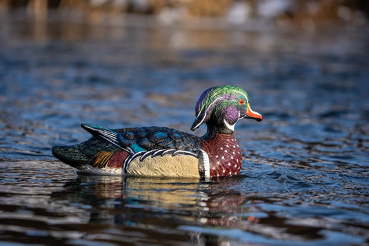 wood duck decoy floating on water