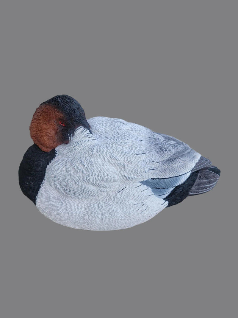 Load image into Gallery viewer, canvasback sleeper decoy
