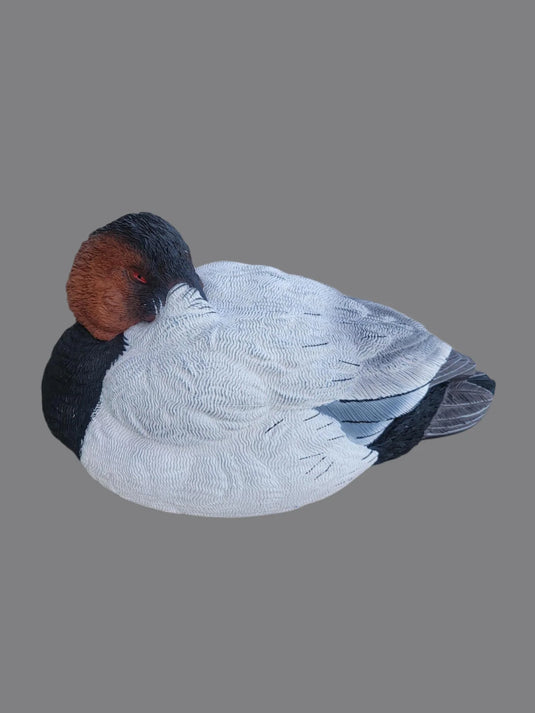 canvasback sleeper decoy