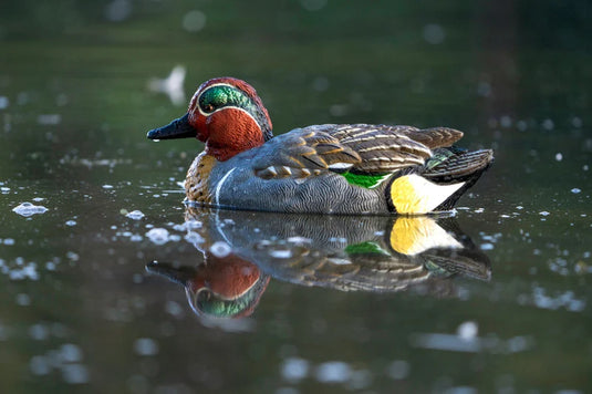 SX Green Winged Teal Duck Decoys