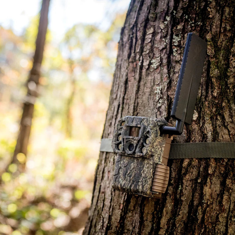 Load image into Gallery viewer, Browning Defender Vision Pro AI Trail Camera
