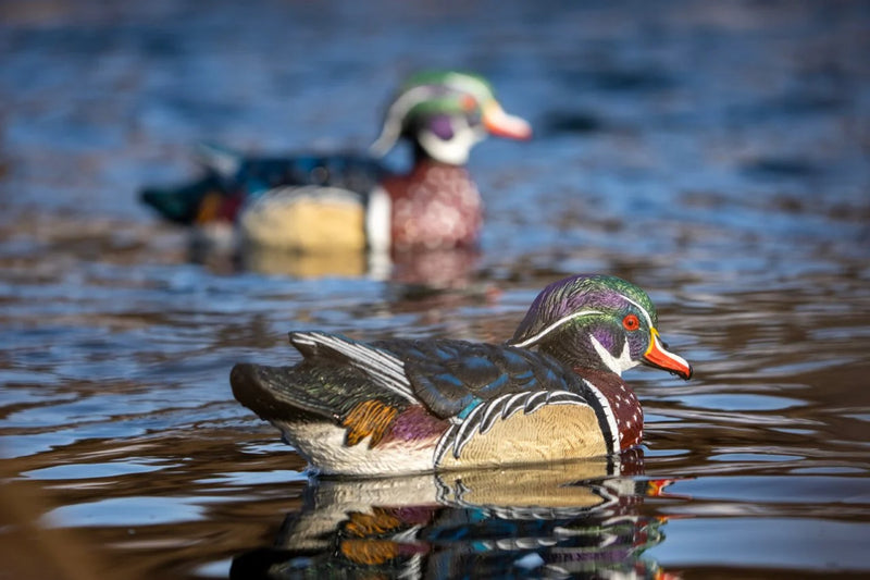 Load image into Gallery viewer, A pair of wood duck decoys floating on water
