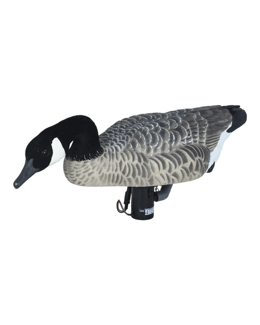 GHG Finisher Swimmer Canada Goose