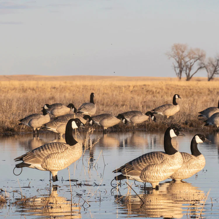 Load image into Gallery viewer, Set of goose decoys in a field pond
