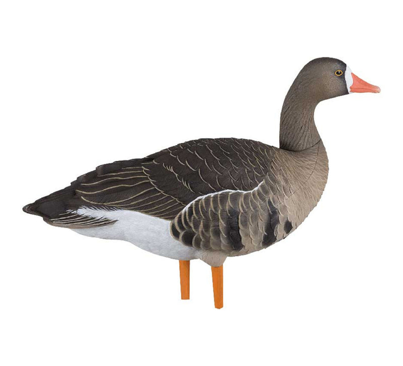 Load image into Gallery viewer, Realistic goose decoy on a white background
