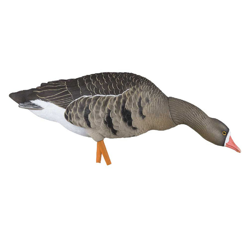 Load image into Gallery viewer, Specklebelly decoy on a white background

