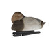 Avian X Topflight Canvasback Floaters