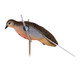 Avian X Powerflight Dove - Spinning Wing Decoy