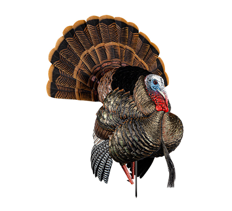 Load image into Gallery viewer, Decoy turkey with a prominent fan of feathers on a white background
