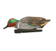 Avian X Topflight Green-winged Teal