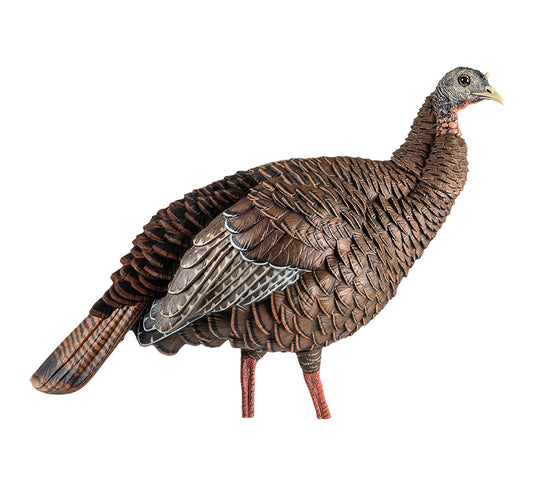 Realistic turkey decoy on a white background
