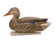 Female mallard decoy