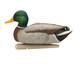 Load image into Gallery viewer, Male mallard duck decoy

