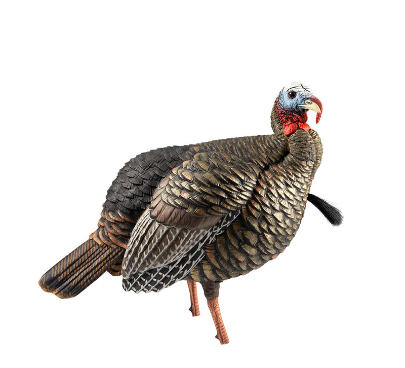 Load image into Gallery viewer, Realistic turkey decoy on a white background
