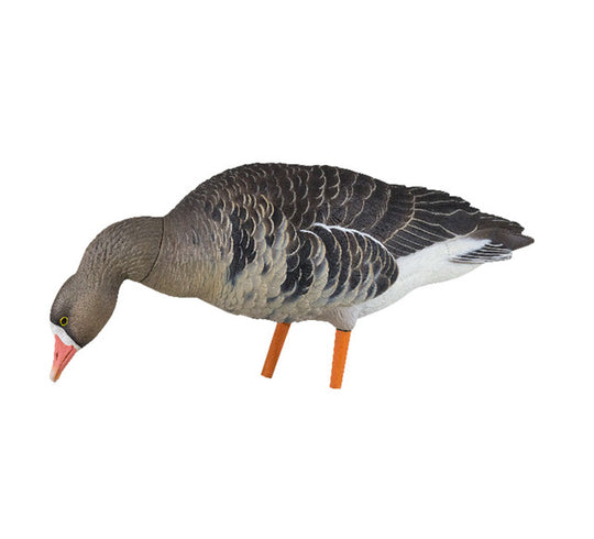 Avian X AXP Fusion Specklebelly Goose Full Body