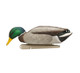 Avian X Topflight Fusion Mallards