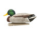 Avian X Topflight Fusion Mallards