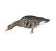 Load image into Gallery viewer, Avian X AXP Fusion Specklebelly Goose Full Body
