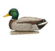 Avian X Topflight Fusion Mallards