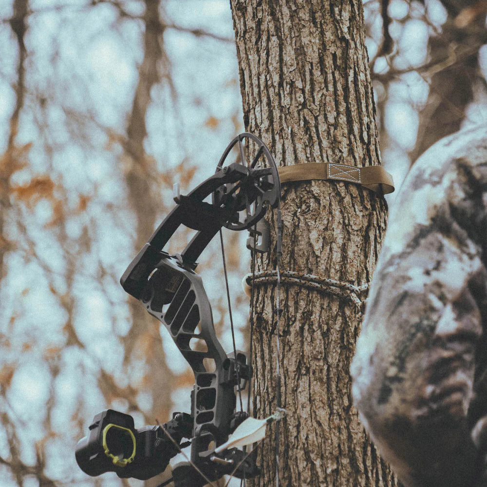 Latitude Bite Bow Hanger