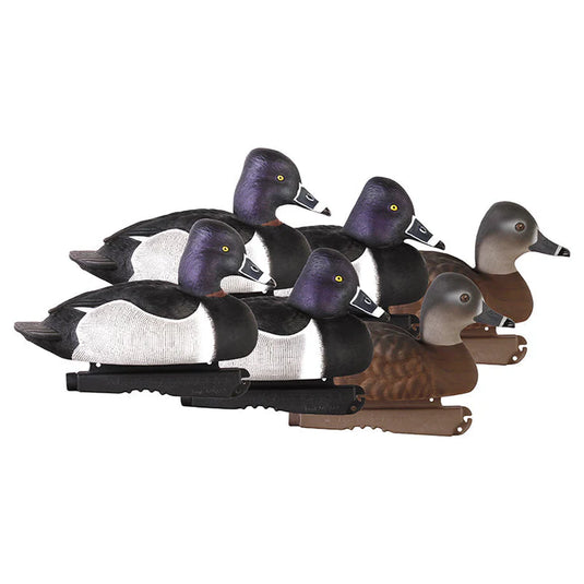 Set of ring-necked duck decoys on a white background