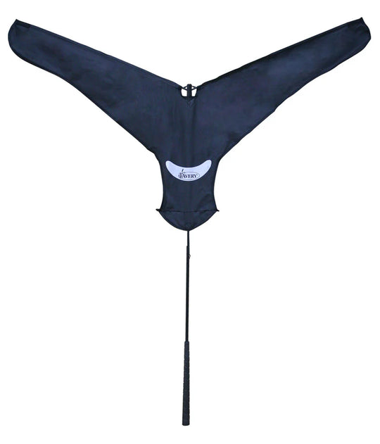 Banded Power Flag