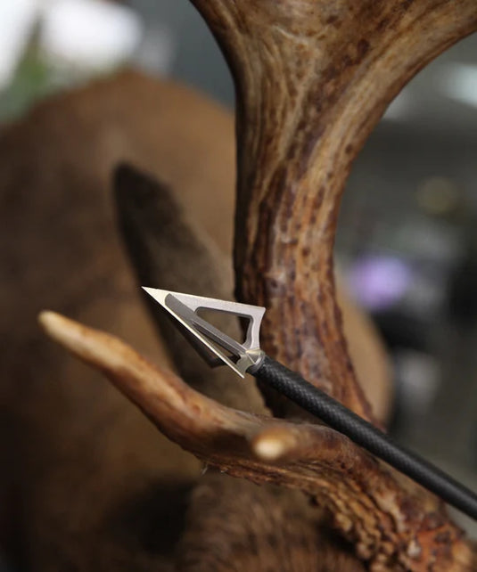 G5 Montec Fixed Blade Broadhead - Crossbow