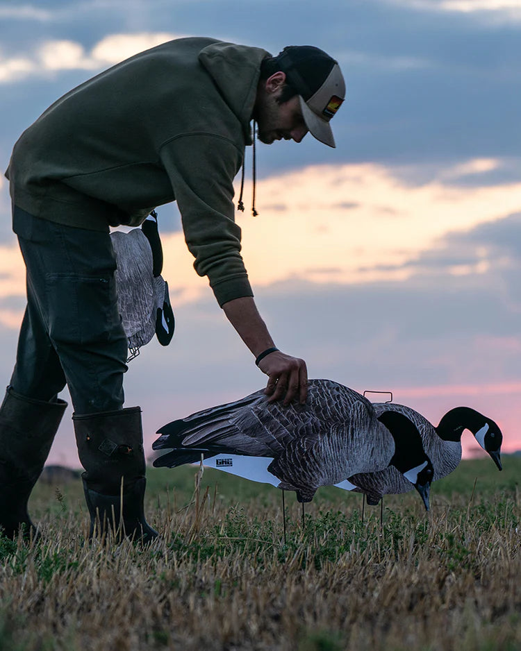 Load image into Gallery viewer, GHG Pro-Grade Silhouette Canada Goose Decoys
