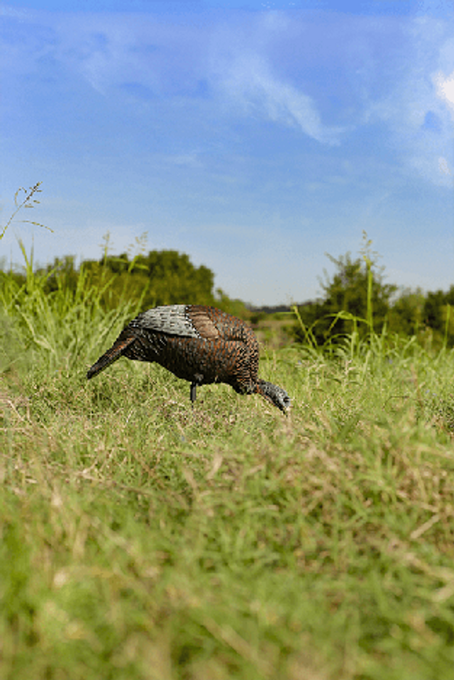Load image into Gallery viewer, Flextone Thunder Chick™ Feeder
