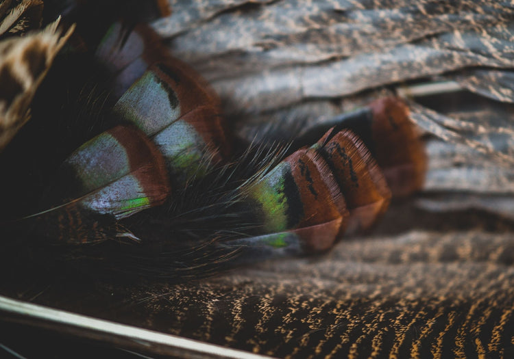 spring turkey headquarters